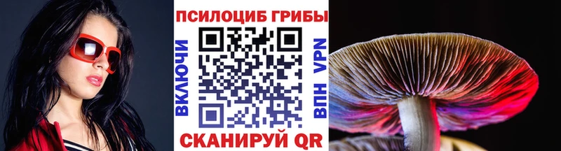 Псилоцибиновые грибы Magic Shrooms  где купить наркотик  Альметьевск 